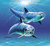 Two dolphins swim in a blue gradient background with light rays; one dolphin is positioned above the other, both facing right.