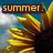 Sunflower with yellow petals and dark brown center against blue sky with white clouds, text 'summer.' in brown rectangle at top left.