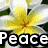 Four quadrants display flowers with text: yellow lily, purple daisy, white flower with green accents, blue rose; each quadrant has 'Peace' or 'Love' in bold black-outlined font.