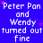 Blue background with white text repeating 'Peter Pan and Wendy turned out fine' in a pattern, scattered pink stars, and a gray rectangle in the bottom-right corner