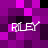 Pixelated purple and black checkered background with four instances of the word "RILEY" in white text.