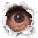 A circular eye icon with a brown iris and black pupil, framed by torn paper edges on white background.