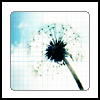 A pixelated dandelion with white seeds against a light blue grid background and a black center.