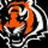 Pixelated tiger head with orange and white stripes, black background, and orange text reading 'BENGALS' below.
