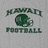 A four-quadrant displays text and a football helmet logo on a gray background with green