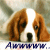 Two brown dogs with long ears stand side-by-side facing forward, positioned above stylized blue text on a light background.