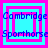 Four identical square display blue text over cyan and pink layered squares with a central white square, each showing "Cambridge" above "Sporthorse" in blue pixelated font