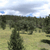 Static pixelated landscape with green and brown terrain under a light blue sky with white clouds.