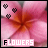 Doll Buddie Icons