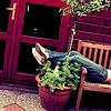 A person in blue jeans and white sneakers reclines on a wooden bench with a potted plant, while red text changes sequentially on a dark behind them
