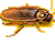 A 4-frame animated contact sheet showing a brown beetle-like insect in various running poses with yellow accents on legs and antennae against a white background.