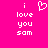 Pixelated text and heart symbol on bright pink background, with identical left and right sections displaying 'i love you sam' in white block letters.