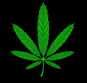 Green cannabis leaf icon with red text phrases 'SEE ME', 'ROLL ME', and 'SMOKE ME' on black background, animated to change text and leaf orientation.