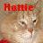 Red text reading 'Minnie' appears above a pixelated image of a light-colored animal with dark eyes and nose.
