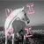 A grayscale horse rearing with pink symbols and text overlays in four