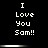 Pixelated text "I Love You Sam!!" displayed in three on a black background with horizontal white bars between