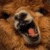 iconhell_enchantingbebee_llamas