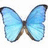Pixelated blue butterfly with brown wing edges and central body, displayed against a white background.