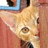 Pixelated cat face with blue glasses on left, purple background with cyan text 'my buddy' on right.