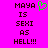 A bright pink background displays pixelated text reading 'MAYA IS SEXI AS HELL!!!' with a green heart symbol above the text on the left side.