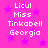 Pixelated text 'Licul Miss Tinkabell Georgia' on pink background with purple stars, repeated in two identical vertical