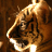 A pixelated tiger head in profile view with orange-brown fur, black stripes, and a white muzzle against a dark brown background.