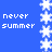 Blue background with white pixelated text 'never summer' and vertical snowflake patterns on left and right sides.
