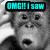 A four- of a monkey's face with pixelated text overlays in cyan, yellow, and pink