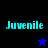 Four display 'Juvenile' text with a star symbol changing color between blue and black on blue and black backgrounds