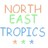 Pixelated text reads 'NORTH EAST TROPICS' in three rows with small star icons below, using pastel colors on a light background.