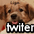 A four- of dog images with 'twitter' text overlay, each showing a different dog expression and background