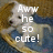A four- shows a white dog in a basket with blue fabric, displaying text changes