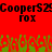 Red background with black text 'Cooper$29' repeated twice above 'rox' repeated twice, green pixelated shapes at bottom.