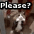 Pixelated image with bold white text 'please?' on black bar above a blurred figure holding a white object against a brown and gray background.