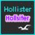 Four display 'Hollister' text with varying lower labels: 'Hollsiter', 'Rox', 'Everyones', and 'Sox', each featuring a white seagull icon on dark background