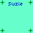 Pixelated blue text "Suzie" appears in four positions on a light green background with scattered green plus signs.