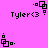 Pixelated icon with pink background shows 'Tyler<3' text and two distinct pixel-art animations of stacked squares with dots.