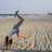 A pixelated figure in a blue top and brown shorts performs a handstand on a sandy beach with calm water and a light sky background.