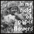 A 4x4 contact sheet of animated frames showing a grayscale image with pink text "In my field of paper flowers" that gradually brightens from top-left to bottom-right across the sequence.