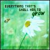 A pixelated green field with a white daisy and a bee, overlaid with text reading 'EVERYTHING THAT'S SHALL HAS TO grow' in black and green lettering.