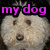 A four- shows a white dog with fluffy fur and brown eyes, each containing text in different colors