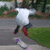 A person in a white shirt and dark pants performs a trick on a skateboard, captured across showing motion progression