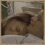 A 4-frame contact sheet of a pixelated animated icon showing two people kissing in bed, with the fourth frame displaying text "NATHAN AND HALEY" inside a heart shape.