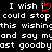 Black background with white pixelated text and a red heart symbol, displaying repeated phrases about wishing to stop and say goodbye.