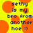 Yellow background with orange circles and black pixelated text reading "sethy is my bro from another hoe :)" in two identical side-by-side sections.