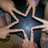 A star-shaped icon with a dark blue center and light brown border, surrounded by blurred background elements.