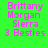 Pixelated text displays 'Brittany Morgan Sierra 3 Besties' on four distinct colored backgrounds in a