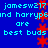 Blue background with cyan text repeating 'jamesw217 and harrypand are best buds' and red star shapes arranged vertically.