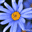 Pixelated blue daisy-like flowers with orange centers arranged in a repeating pattern on a black background.