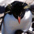 A pixelated penguin chick with black head and white body stands against a green background displaying 'OriginalIcons.com' in bright green text.